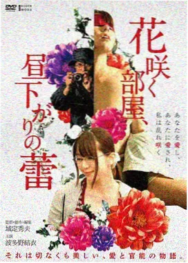 小清新影视热榜第五 海风邮局